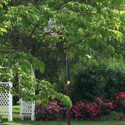 Oasis Landscaping
