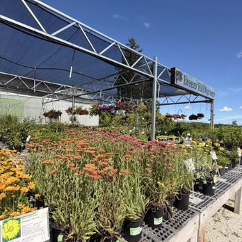 Breezy Hill Nursery - Menomonee Falls - Nurseries & Gardening Near Me - Menomonee Falls, Wisconsin Breezy Hill Nursery - Menomonee Falls - Nurseries & Gardening Near Me - Menomonee Falls, Wisconsin