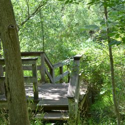 Town Of Clarence Escarpment Sanctuary - Nature look out landing