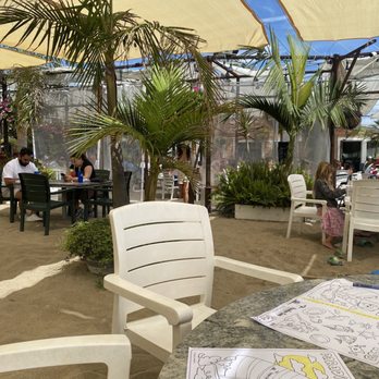 Paradise Cove Beach Cafe - Patio - American Near Me - Malibu, California