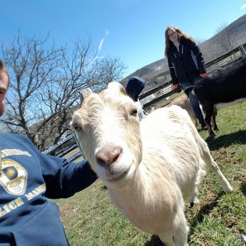 Farm Sanctuary - Animal Shelters Near Me - Watkins Glen, New York Farm Sanctuary - Animal Shelters Near Me - Watkins Glen, New York