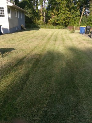 Lawn Care & Lawn Debris Removal - $25 Off 1st Service. Professional & Affordable Lawn Care Services, Gutter Cleaning, Junk Removal & Hauling, Pressure Washing, & Handyman Services to commercial & residential clients. We have general liability insurance for all of our jobs. Call, text, or message us today to schedule your service. Lawn Care & Lawn Debris Removal - $25 Off 1st Service. Professional & Affordable Lawn Care Services, Gutter Cleaning, Junk Removal & Hauling, Pressure Washing, & Handyman Services to commercial & residential clients. We have general liability insurance for all of our jobs. Call, text, or message us today to schedule your service.