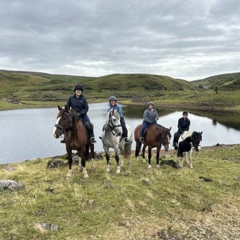 Bespoke Equestrian Ireland - Horseback Riding Near Me - Ballymoney, BLY