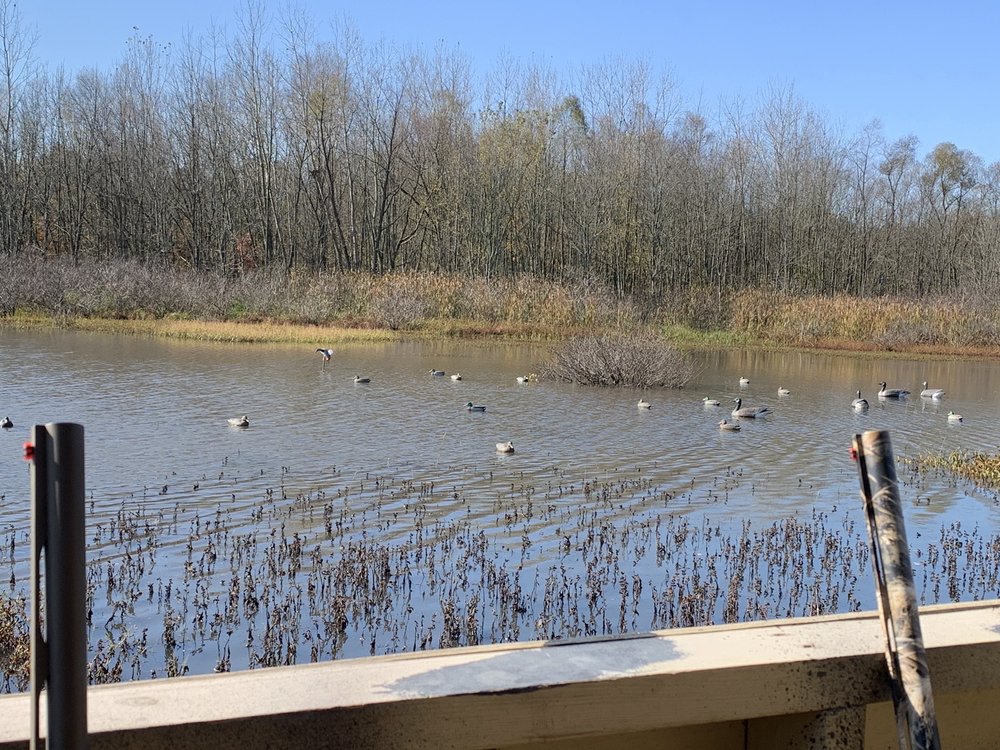 HEBRON STATE FISH HATCHERY Updated September 2024 18 Photos 10517