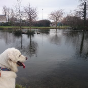 Tymon Park - Parks Near Me