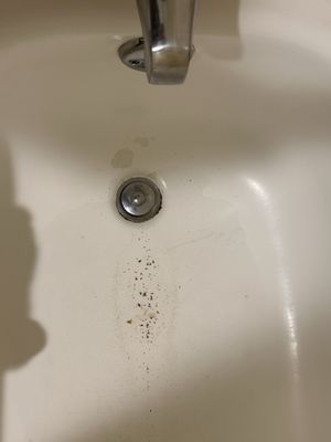 Hotel 116, a Coast Hotel by null