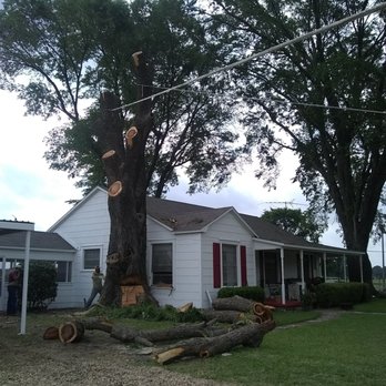J. Efren Tree Service - Tree Services Near Me