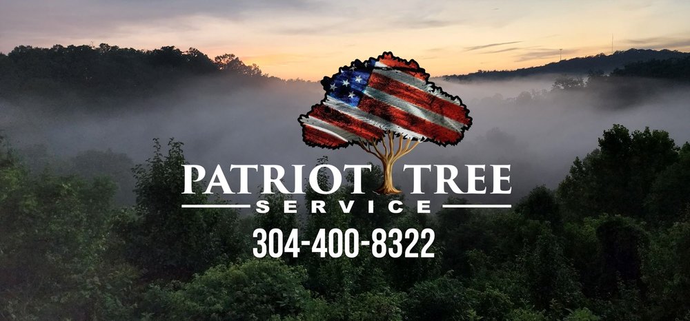 Patriot Tree Experts - tree service in Charleston, WV