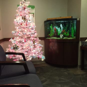 Yuan-Young Liu Dentistry - General Dentistry Near Me - Wethersfield, Connecticut Yuan-Young Liu Dentistry - General Dentistry Near Me - Wethersfield, Connecticut
