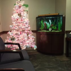 Yuan-Young Liu Dentistry