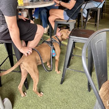 Bullet Grill House - Beer Bar Near Me - Point Blank, Texas