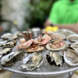 Raw Bar - (Oysters, top necks, cocktail shrimp)