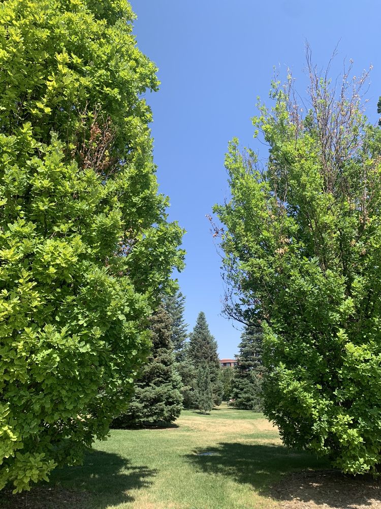 MAYFAIR PARK Updated September 2024 20 Photos E 10th Ave & Jersey