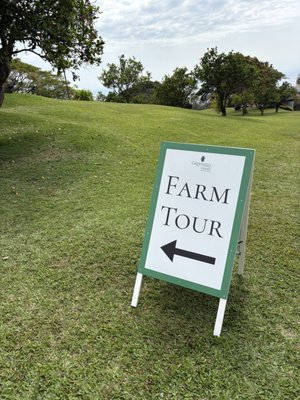 Kona Coffee Living History Farm by null
