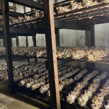 Mountain Meadow Mushrooms - Shitakki Room - Specialty Food Near Me - Escondido, California Mountain Meadow Mushrooms - Shitakki Room - Specialty Food Near Me - Escondido, California