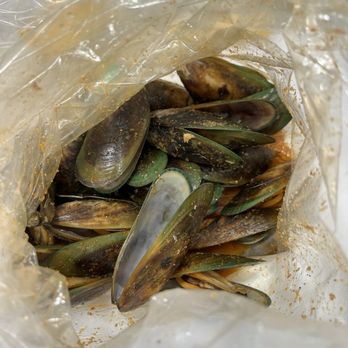 The Boiling Crab - Cajun/Creole Near Me - Rosemead, California The Boiling Crab - Cajun/Creole Near Me - Rosemead, California