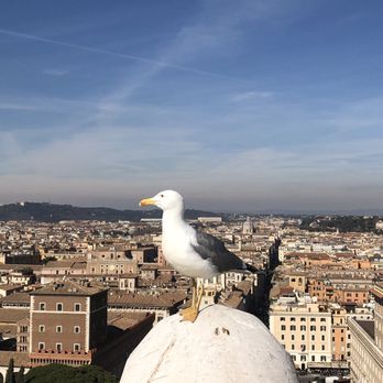 Altare della Patria - Museums Near Me - Rome, RM