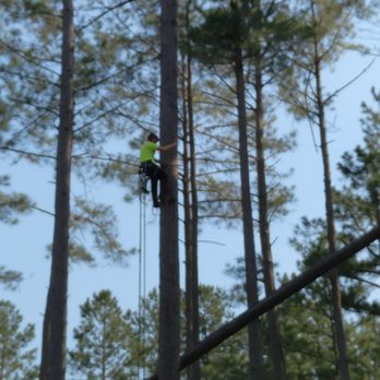 Southern Tree Solutions - Tree Services Near Me - Statesboro, Georgia Southern Tree Solutions - Tree Services Near Me - Statesboro, Georgia