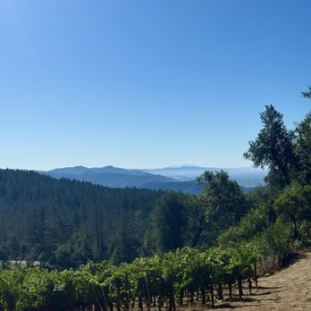 CADE Estate Winery - Wine Tasting Room Near Me - Angwin, California