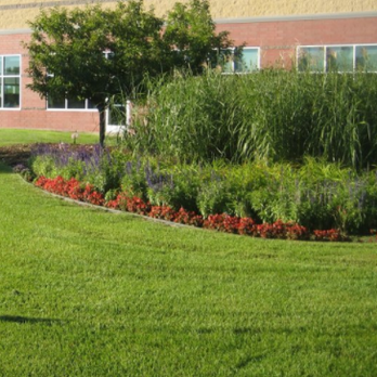 Lawn Care Express - a lawn in front of a building - Landscaping Near Me - Minneapolis, Minnesota