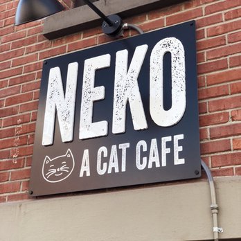 NEKO: A Cat Cafe - Themed Cafes Near Me - Seattle, Washington NEKO: A Cat Cafe - Themed Cafes Near Me - Seattle, Washington