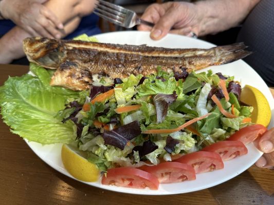 Memo Shish Kebab by null