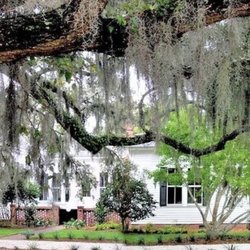 Honey Horn Plantation