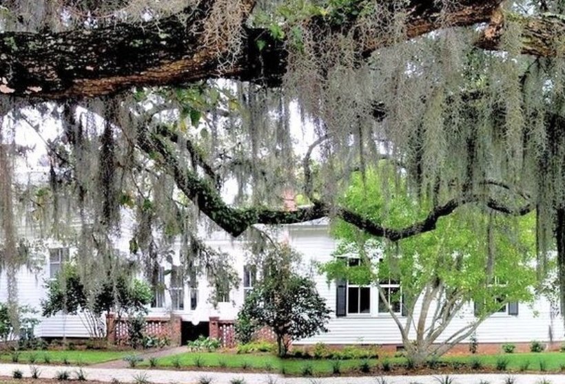 HONEY HORN PLANTATION Updated March 2025 70 Honey Horn Dr, Hilton