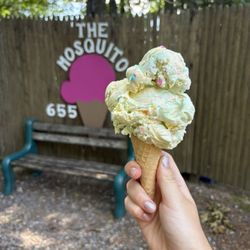 The Mosquito - Cake batter