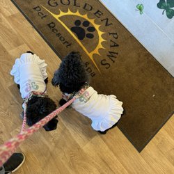 Lucy and Ethel being turned away from daycare.
