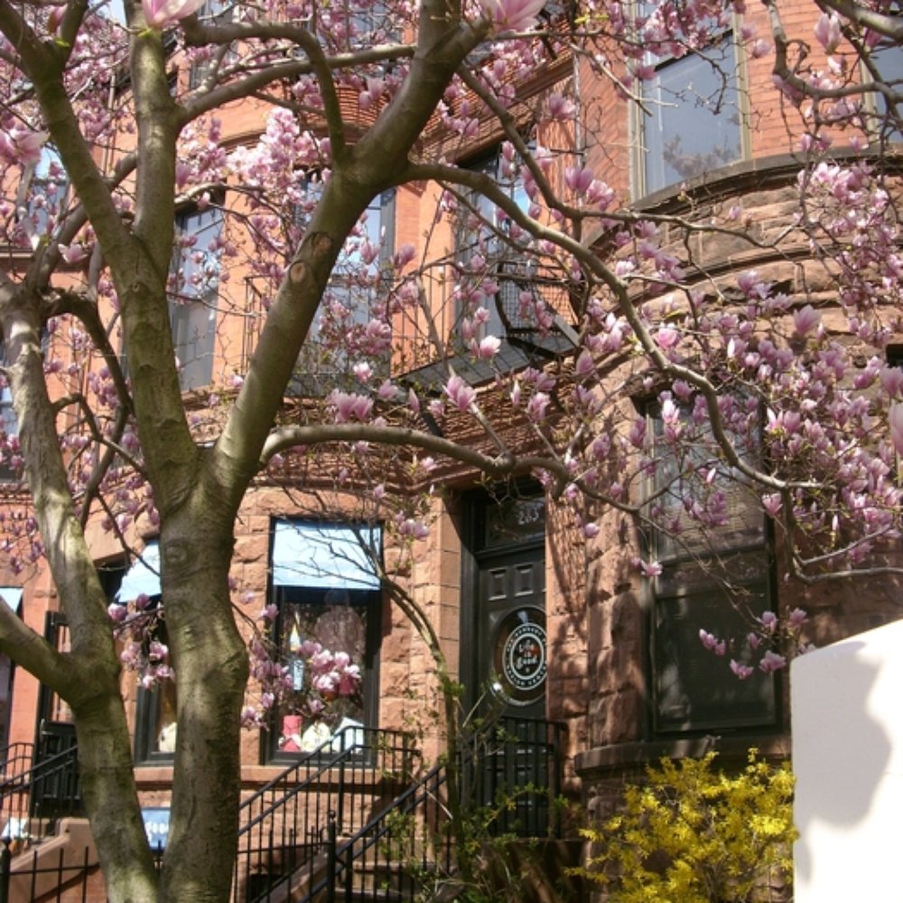 Newbury Street - Landmarks & Historical Buildings Near Me - Boston, Massachusetts