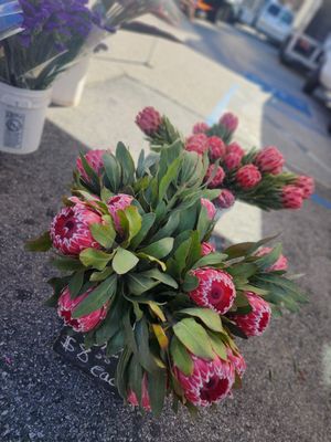 Burbank Farmers Market by null