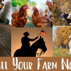 Floyd Farm & Feed & Pet Grooming