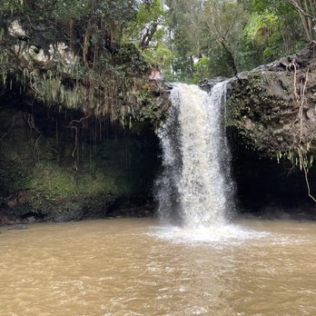 Hike Maui - Tours Near Me - Kahului, Hawaii Hike Maui - Tours Near Me - Kahului, Hawaii
