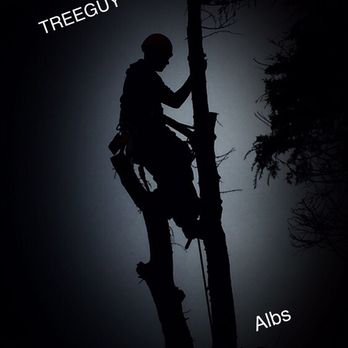 The Tree Guy Arborist - Tree Services Near Me The Tree Guy Arborist - Tree Services Near Me