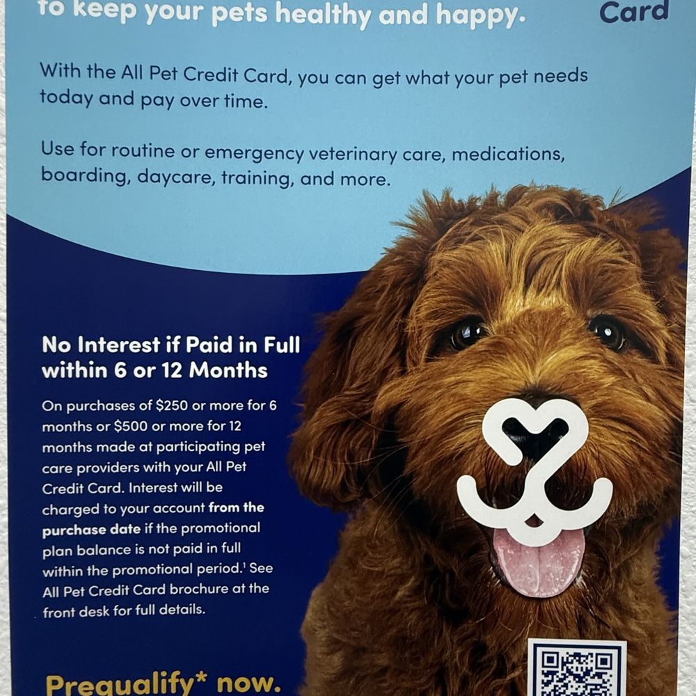 Jam Veterinary Services - Payment Plans - Veterinarians Near Me - Pahrump, Nevada