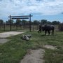 Photo of Buffalo Ranch of Woodshed