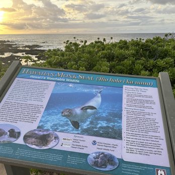 Kaena Point State Park - Didn't see any unfortunately... - Beaches Near Me - Waianae, Hawaii