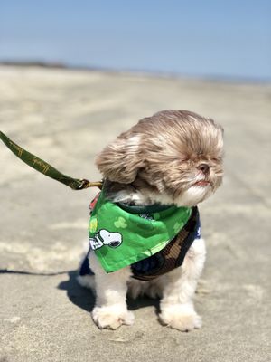 Kiawah Beachwalker Park by null