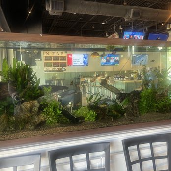 Bunky's Raw Bar & Brewery - Aquarium - Seafood Near Me - Melbourne, Florida