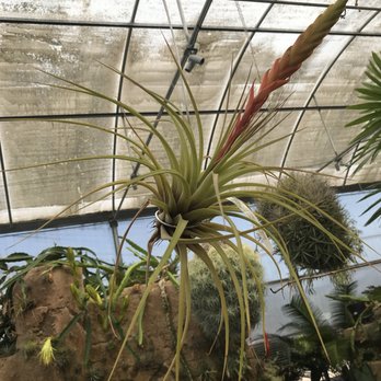 Rainforest Flora - Nurseries & Gardening Near Me - Torrance, California Rainforest Flora - Nurseries & Gardening Near Me - Torrance, California