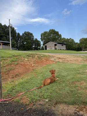 Justus Orchard by null