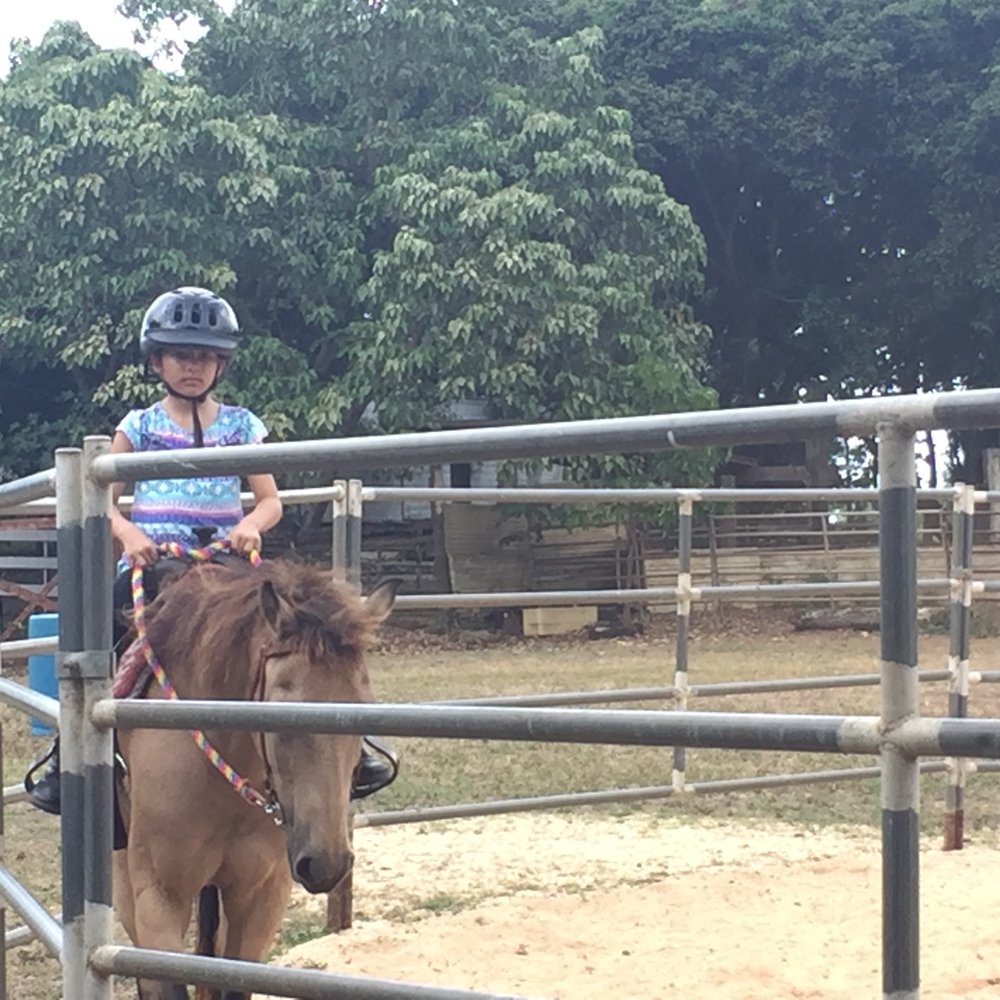 Aloha Riding Lessons - Riding solo along the area rail as Kim instructs from several feet away after first lessson. - Horseback Riding Near Me - Honolulu, Hawaii
