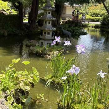Japanese Tea Garden - Tea Rooms Near Me - San Francisco, California