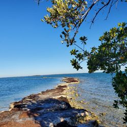 Horseshoe Beach