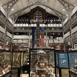 Pitt Rivers Museum - Museum looking up from the ground floor.  So much to see!