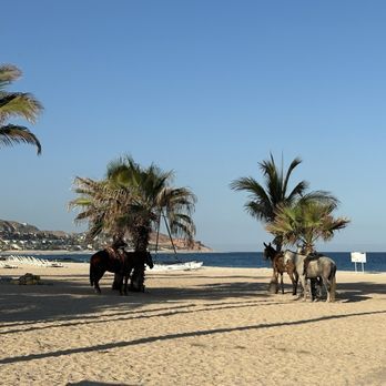 Paradisus Los Cabos - Tequila Beach - Hotels Near Me - Los Cabos, BCS Paradisus Los Cabos - Tequila Beach - Hotels Near Me - Los Cabos, BCS