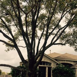 ZR Landscapes & Irrigation - After