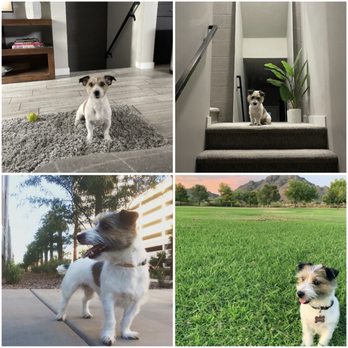 AquaCrossings - Pet Cremation Services Near Me - Tempe, Arizona