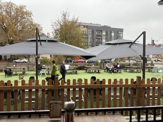 Dog Daze Social Club by null